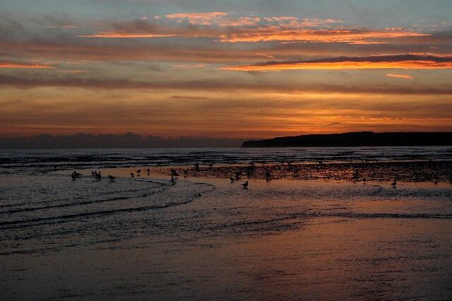 min 2007 11 25 camber plage 070